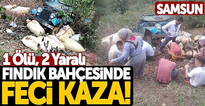 Samsun’da Fındık Bahçesinde Feci Kaza! 1 Ölü, 2 Yaralı