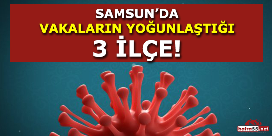 Samsun'da Vakaların Yoğunlaştığı 3 İlçe !