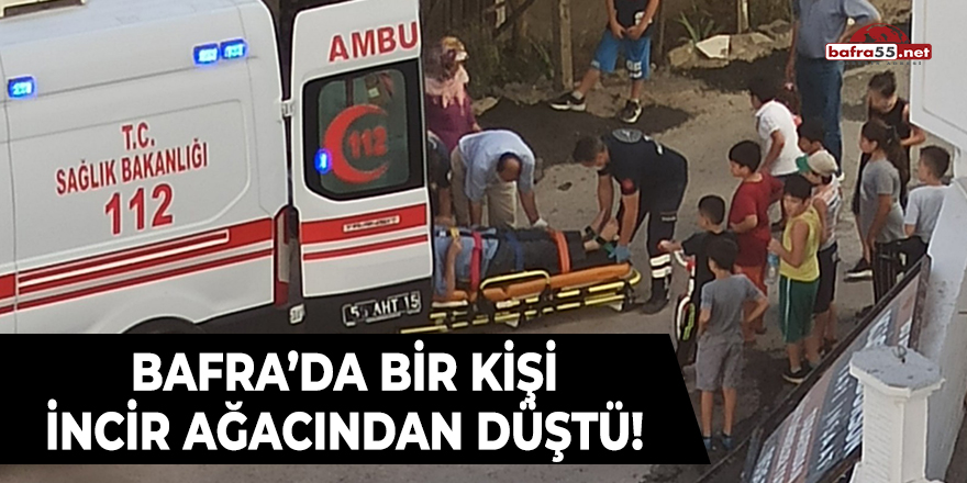 Bafra'da Bir Kişi İncir Ağacından Düştü!