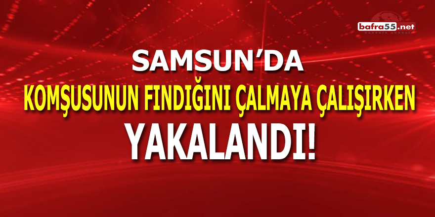 Komşusunun Fındığını Çalmaya Çalışırken Yakalandı!