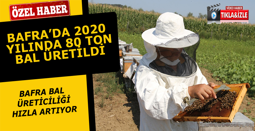 Bafra’da 2020 yılında 80 ton bal üretildi