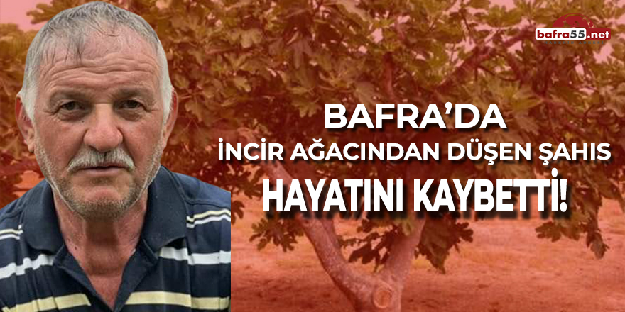 Bafra'da İncir Ağacından Düşen Şahıs Hayatını Kaybetti!