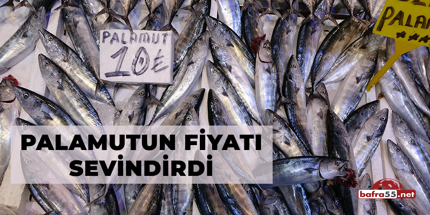 Palamutun Fiyatı Sevindirdi