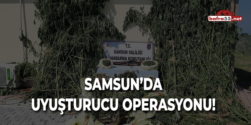 Samsun'da Uyuşturucu Operasyonu!