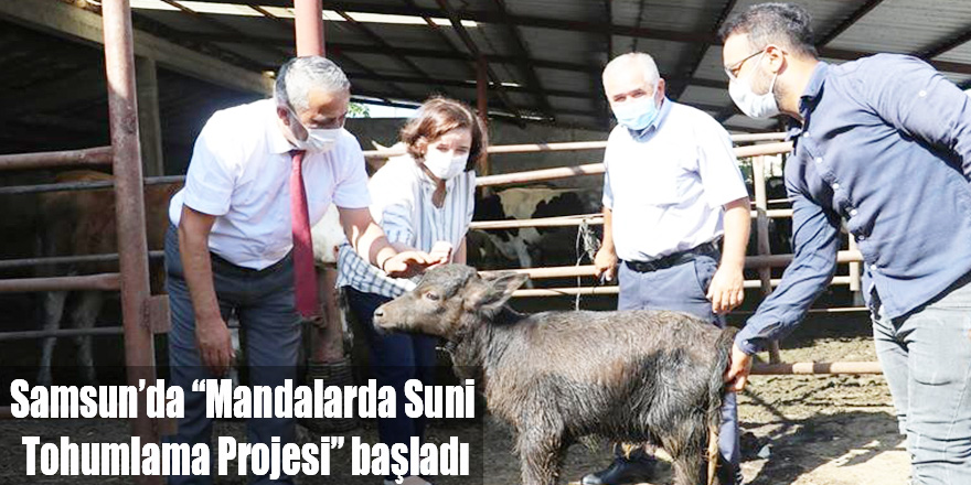 Samsun’da “Mandalarda Suni Tohumlama Projesi” başladı