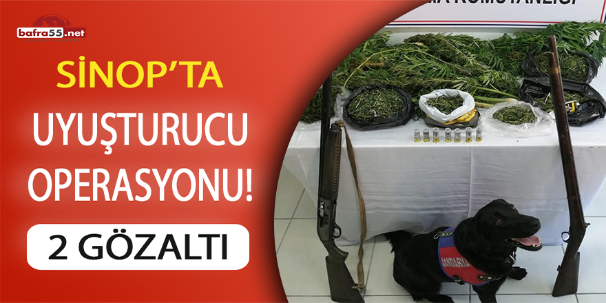 Sinop'ta uyuşturucu operasyonu: 2 gözaltı