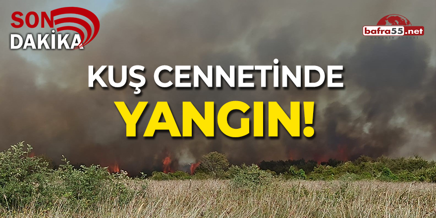 Kuş Cenneti yanıyor!