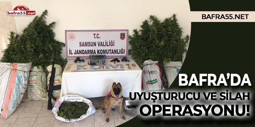 Bafra'da uyuşturucu ve silah operasyonu!