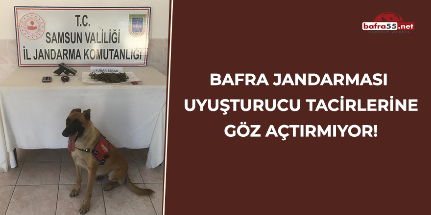 Bafra Jandarması uyuşturucu tacirlerine göz açtırmıyor!