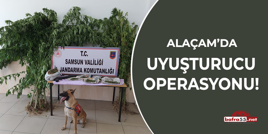 Alaçam'da uyuşturucu operasyonu!