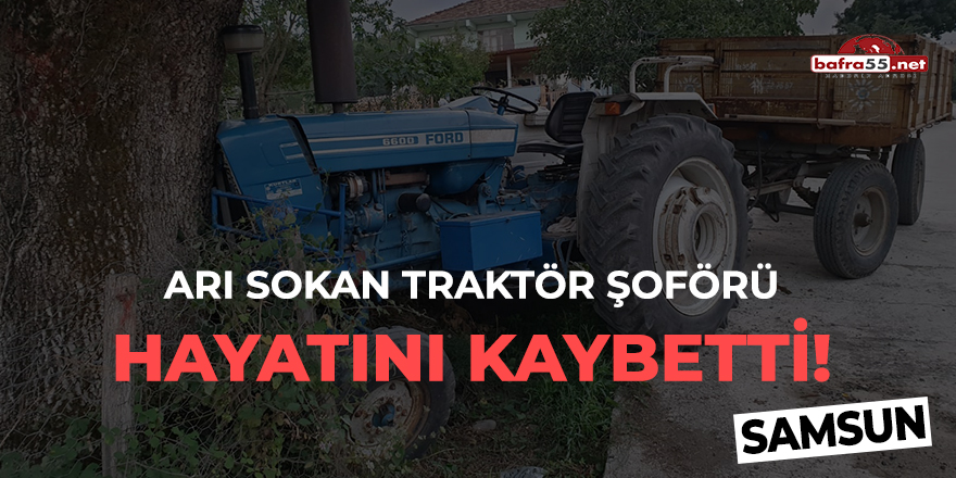 Arı sokan traktör şoförü hayatını kaybetti