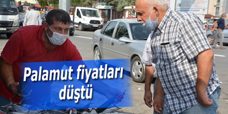 Palamut fiyatları düştü