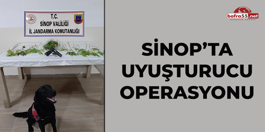 Sinop'ta uyuşturucu operasyonu: 2 gözaltı