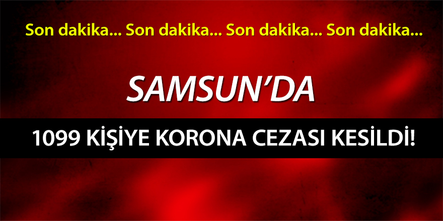 Samsun'da 1099 kişiye korona cezası kesildi