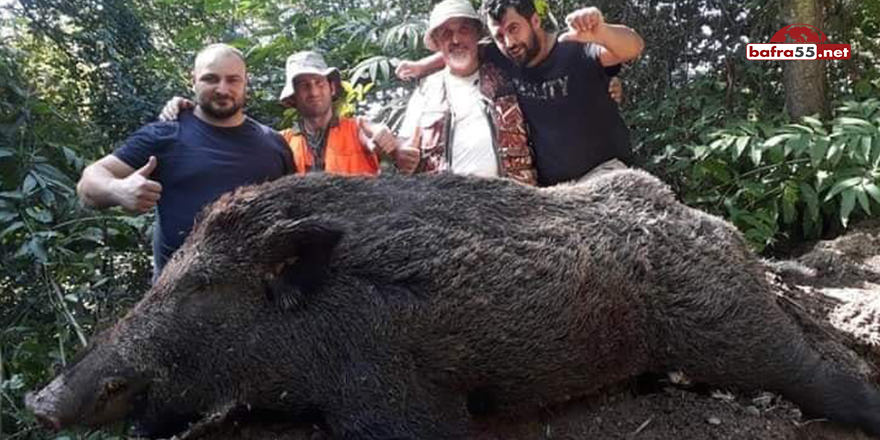 Avcılar 400 kiloluk domuzu vurdu
