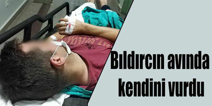 Bıldırcın avında kendini vurdu