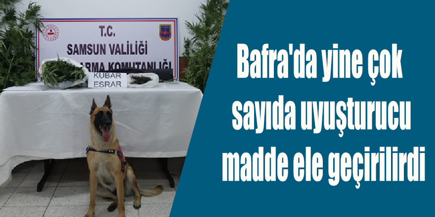 Bafra'da yine çok sayıda uyuşturucu madde ele geçirilirdi