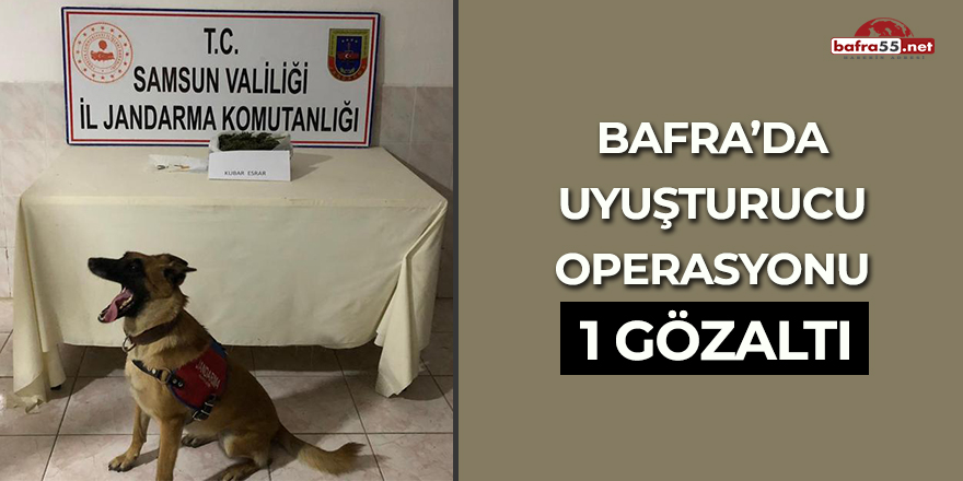 Bafra'da uyuşturucu operasyonu! 1 gözaltı