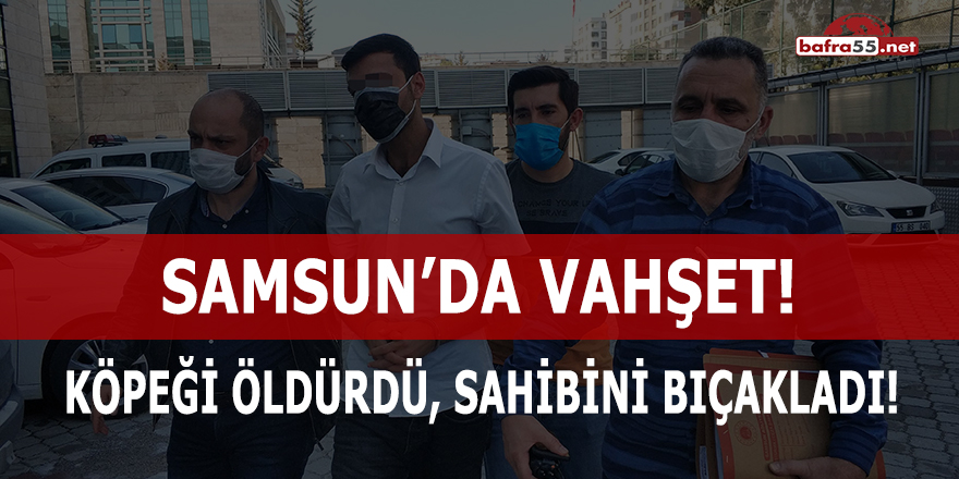 Samsun'da köpeği öldürdü, sahibini bıçakladı!