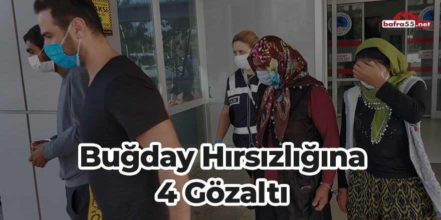 Buğday hırsızlığına 4 gözaltı