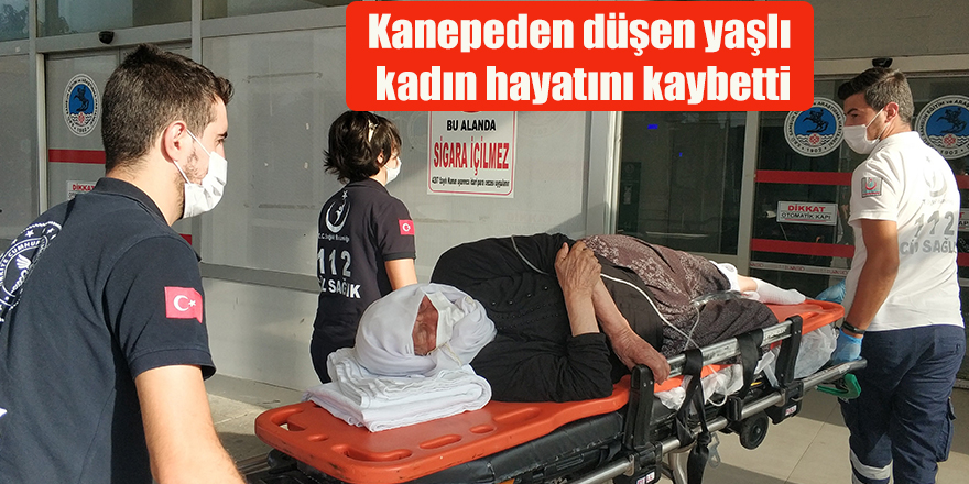 Kanepeden düşen yaşlı kadın hayatını kaybetti