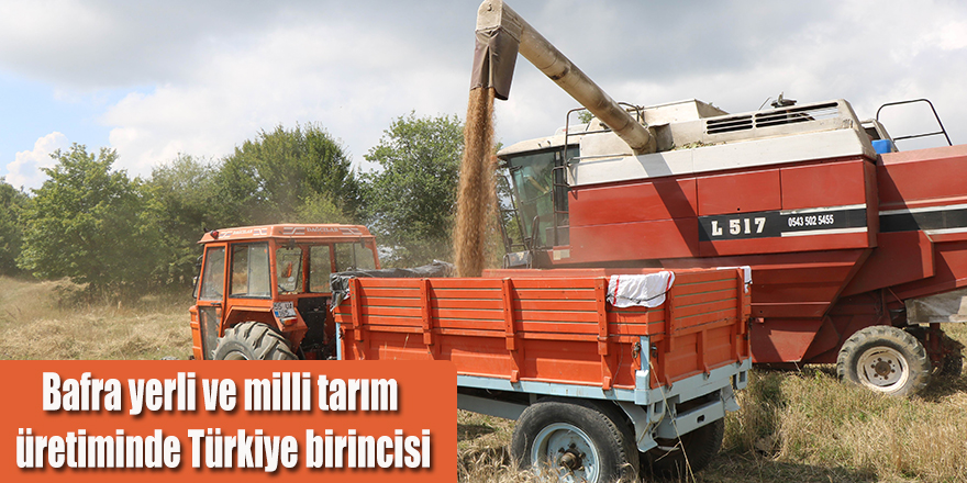 Bafra yerli ve milli tarım üretiminde Türkiye birincisi