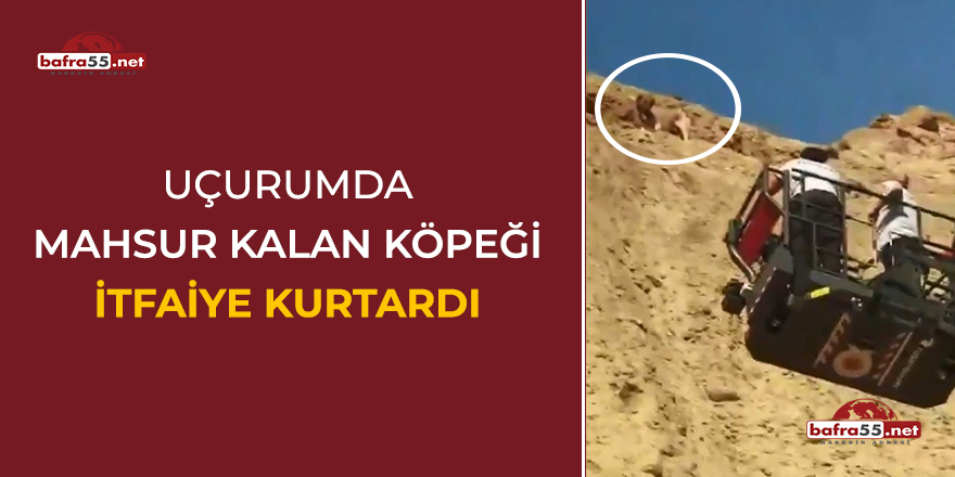 Uçurumda mahsur kalan köpeği itfaiye kurtardı