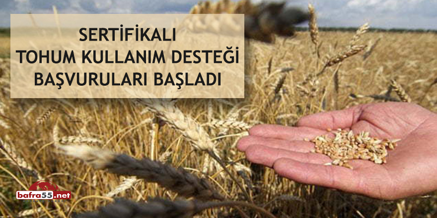 Sertifikalı tohum kullanım desteği başvuruları başladı