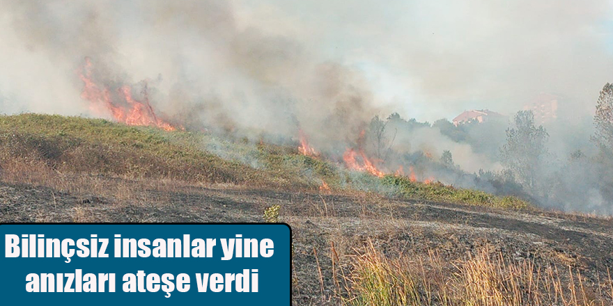 Bilinçsiz insanlar yine anızları ateşe verdi