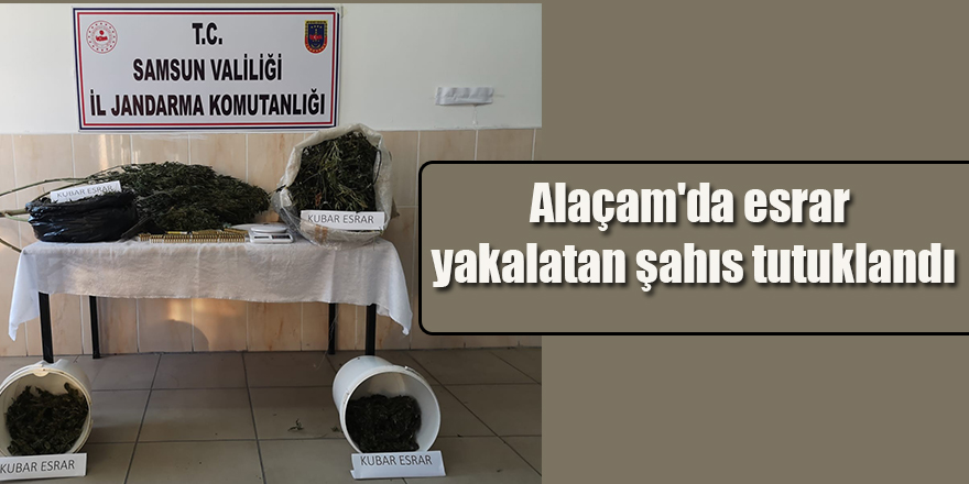 Alaçam'da esrar yakalatan şahıs tutuklandı