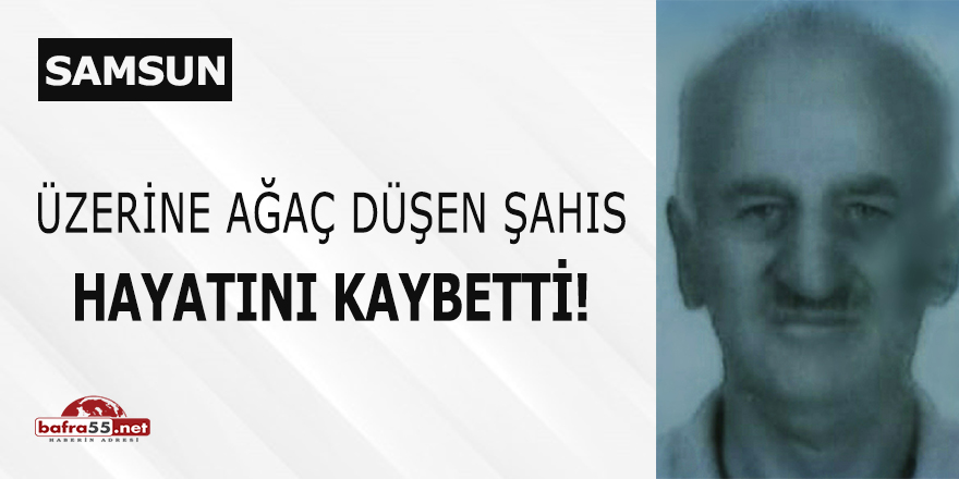 Üzerine ağaç düşen şahıs hayatını kaybetti!