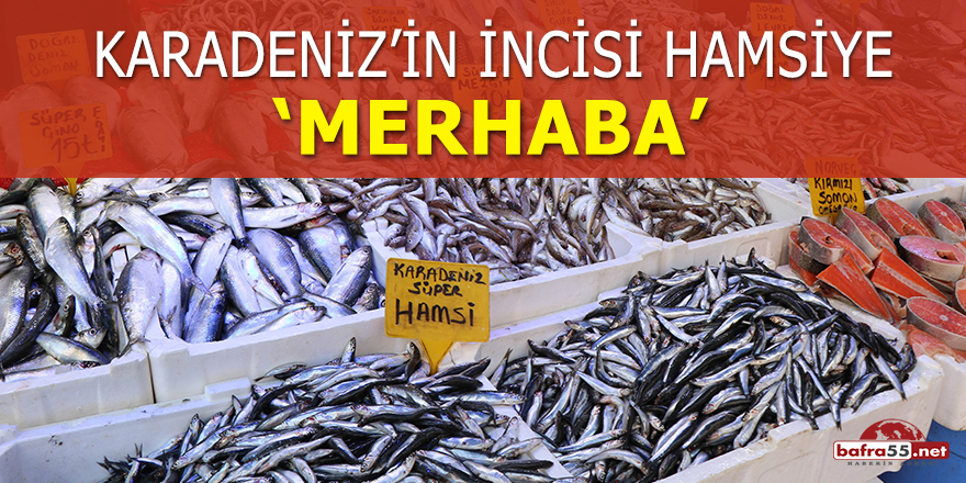 Karadeniz'in incisi hamsiye 'merhaba'