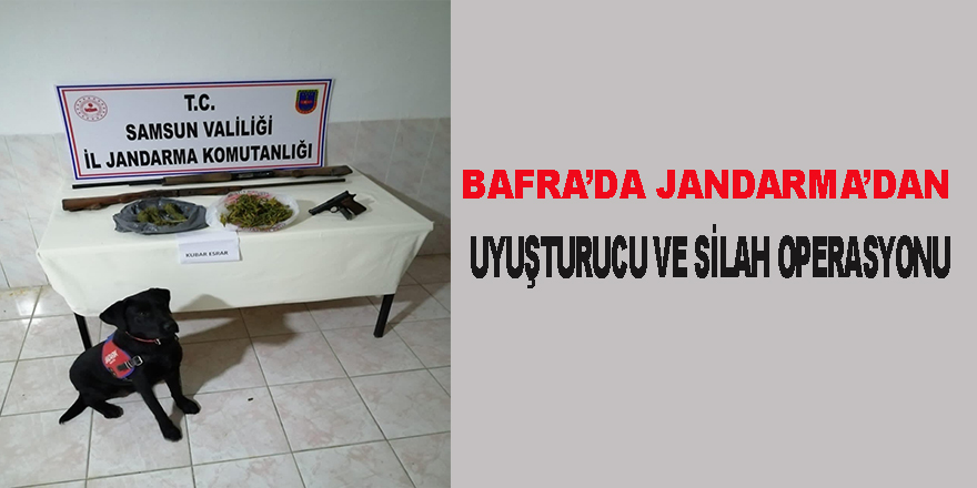 Bafra Jandarmadan uyuşturucu ve silah operasyonu