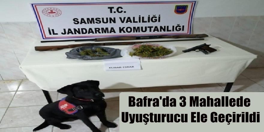 Bafra'da 3 Mahallede Uyuşturucu Ele Geçirildi