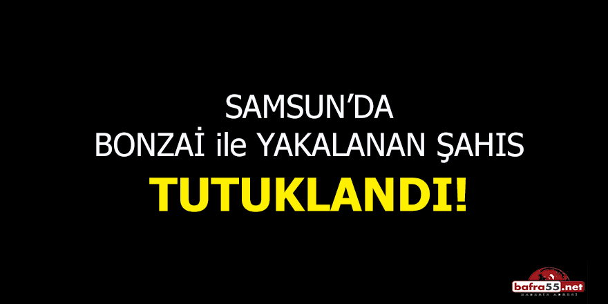 Samsun'da bonzai ile yakalanan şahıs tutuklandı!