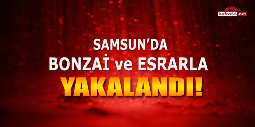 Evinde bonzai ve esrarla yakalandı