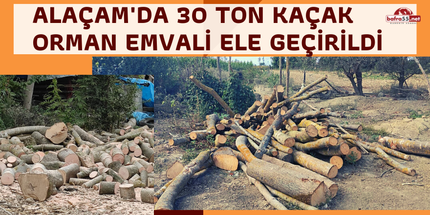 Alaçam'da 30 Ton Kaçak Orman Emvali Ele Geçirildi