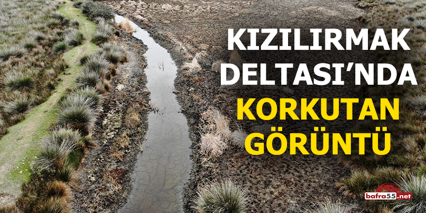 Kızılırmak Deltası'nda korkutan görüntü