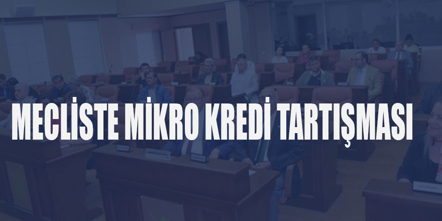 MECLİSTE MİKRO KREDİ TARTIŞMASI