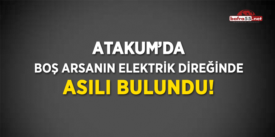 Boş arsanın elektrik direğinde asılı bulundu!