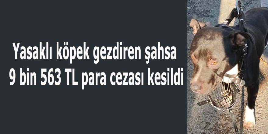 Yasaklı köpek gezdiren şahsa 9 bin 563 TL para cezası kesildi