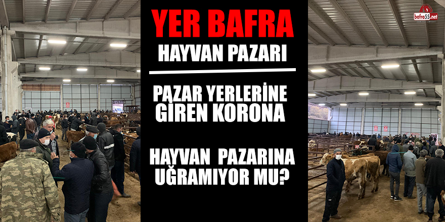 Pazar yerlerine giren korona hayvan pazarına uğramıyor mu?