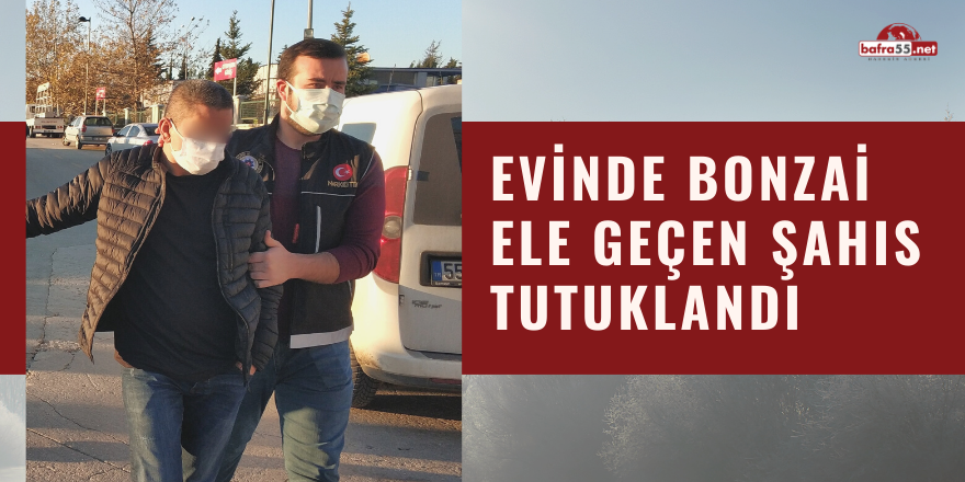 Evinde bonzai ele geçen şahıs tutuklandı