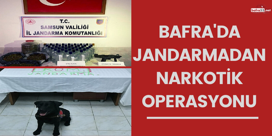 Bafra'da jandarmadan narkotik operasyonu!