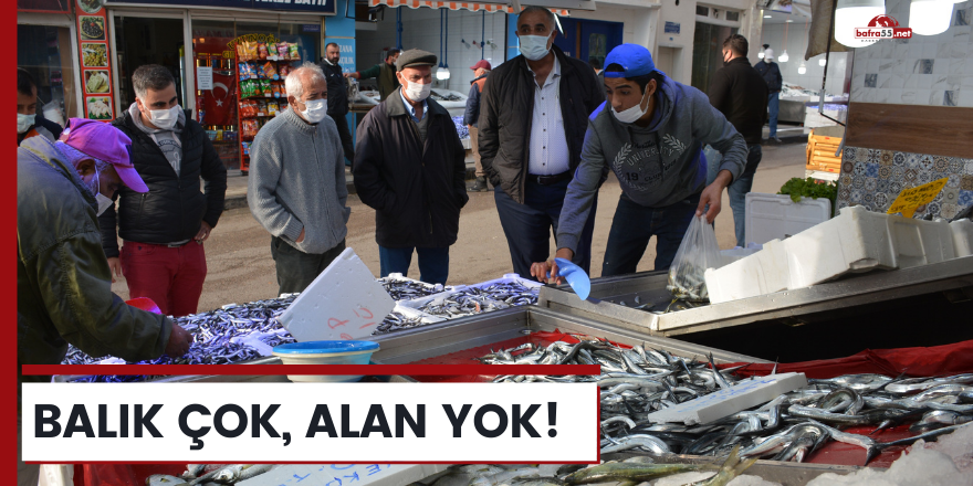 Sinop’ta balık çok, alan yok