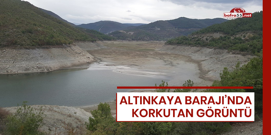 Altınkaya Barajı'nda korkutan görüntü