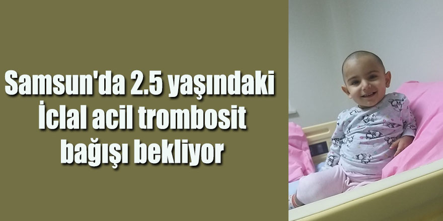 Samsun'da 2.5 yaşındaki  İclal acil trombosit bağışı bekliyor