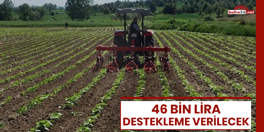 Tarım danışmanı başına 46 bin TL destekleme verilecek