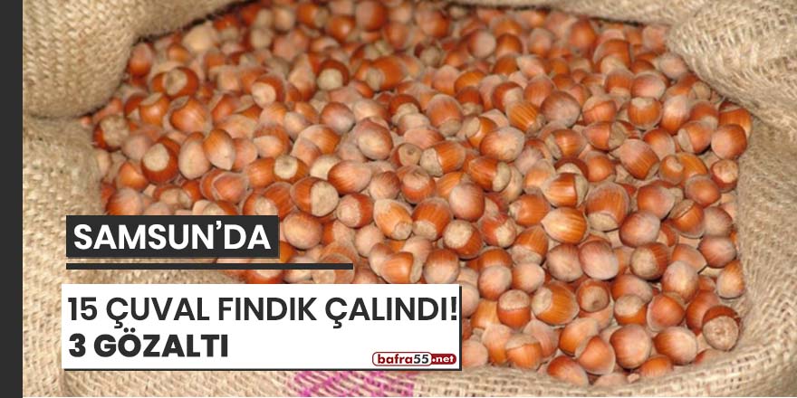 Samsun'da 15 çuval fındık çalındı!