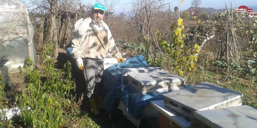 Koronavirüs kestane balına talebi artırdı